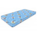 Детский матрас Dreamline Вaby Sleep Dream TFK