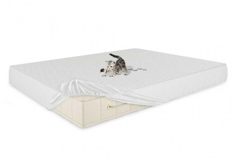 Защитный чехол с резинкой по периметру Benartti Cotton Plus
